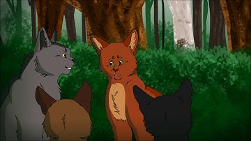 Girl Worth Fighting For Warriors MAP part 1