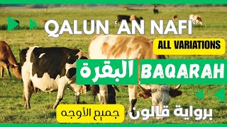 Surah Al-Baqarah | Qalun an Nafi | All Variations | البقرة برواية قالون بجميع الأوجه