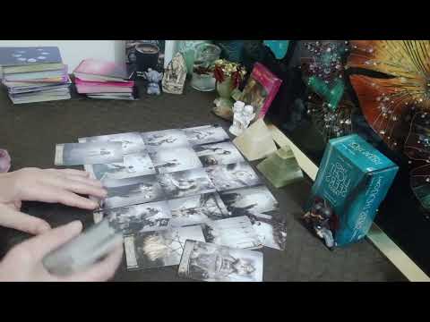 برج العذراء من 13 الى 31 ديسمبر 2025 وضوح شخص جديد يدخل حياتك العاطفيه والحبيب يغادر عندك بدايات