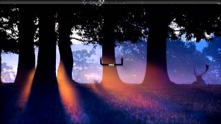 Wizen - Water Mirror