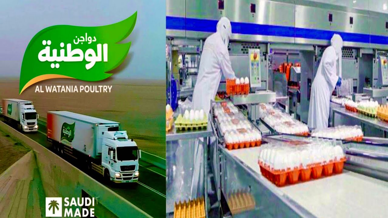 Al Watania Poultry al Watania Poultry Farm Al Watania Poultry Farm al-watania-poultry-al-watania-poultry-farm-al-watania-poultry-farm
