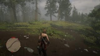 Red Dead Redemption 2 - Moonshine Delivery Bugged