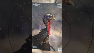 TURKEY HUNTING TACTICS: PROVEN STRATEGIES FOR TOUGH BIRDS #archery #riflehunting #bowhunting