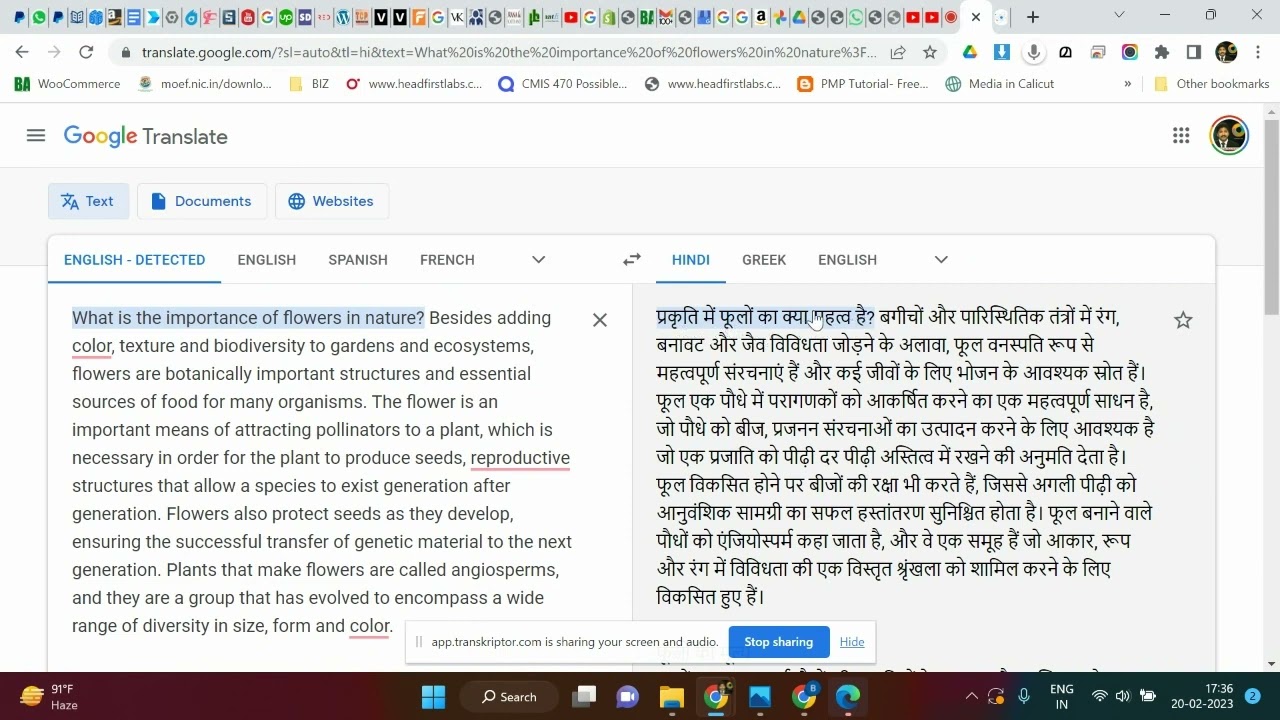 Google Translate Quick Tutorial - in English