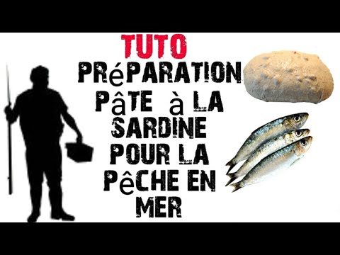 Comment faire de la Pte pour la pche en mer 