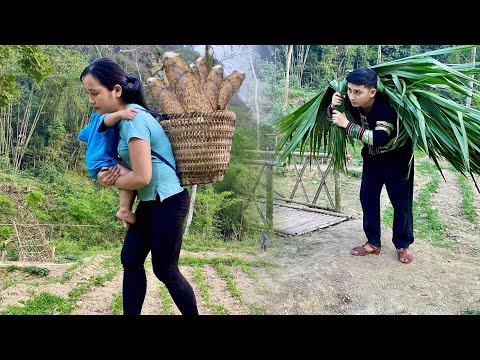 Pao helps Huong avoid storms when the seasons change - Huong picks bamboo shoots for Bon to eat