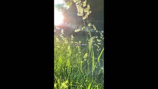 Cintanya Aku  Tiara Andini U0026 Arsy Widianto story