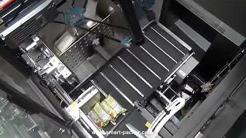 Automatic puffed bag counting robot hand inserting cartoning machine bag stacking encaser line