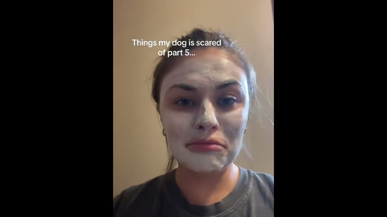 My dog overreacting at face mask 