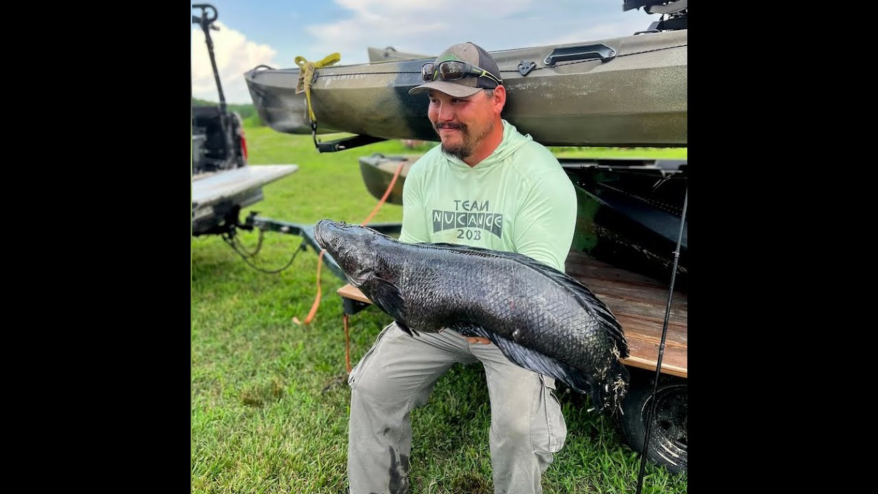 The Story of Damien Cook's WORLD RECORD Northern Snakehead 
