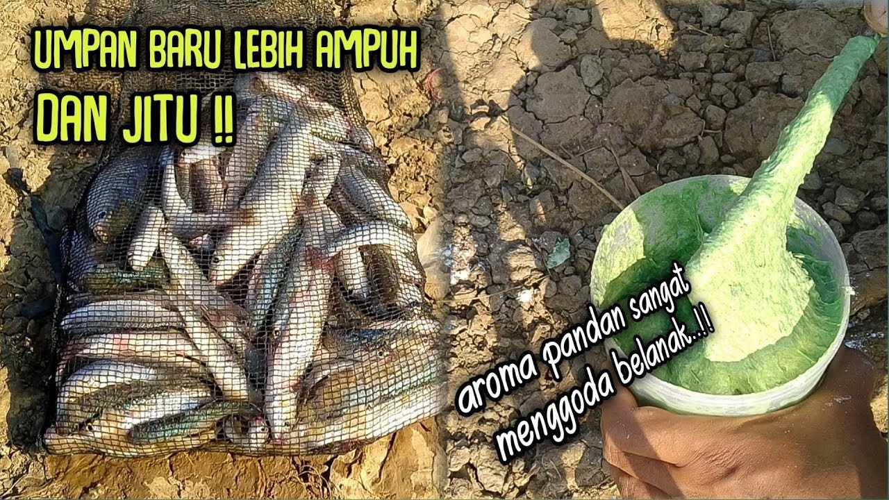 pakai aroma pandan belanak nyosor parah cuy.. !! coba deh..😁