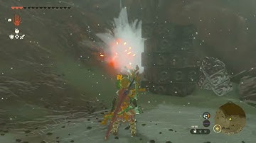 [DAY 685] of finding one korok seed in TotK everyday until we get them all