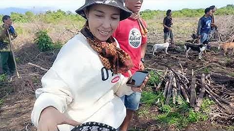 Solo jek .Kejaran banyak  berburu di nan sabaris karambiah 4. 