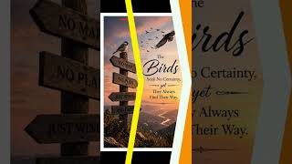 Like the Birds… Learn to Trust, Let Go &amp; Live Free