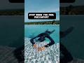 HOW TO HOLD BREATH LONGER | FREEDIVING FOR BEGINNERS #freediving #underwater #apnea