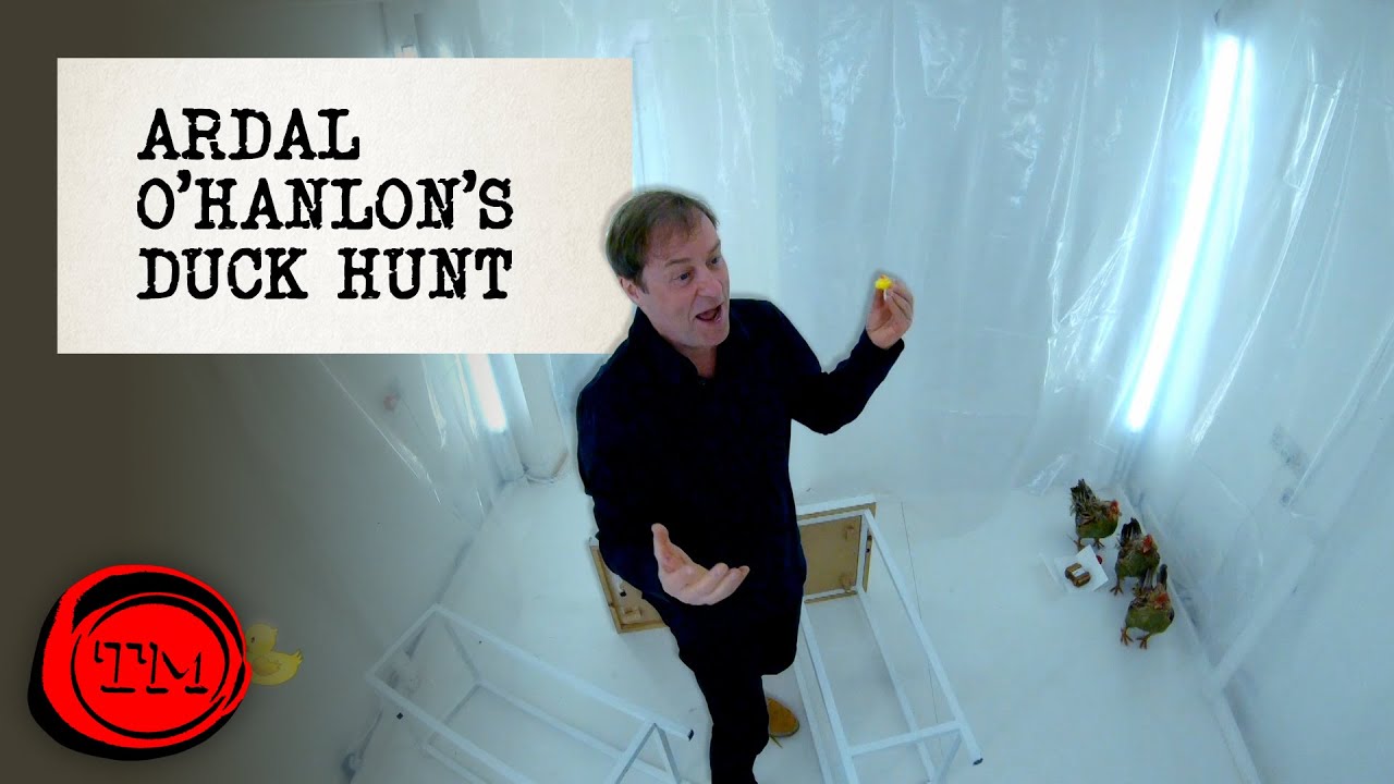 Ardal O'Hanlon Looks for the Hidden Ducks | Taskmaster - YouTube