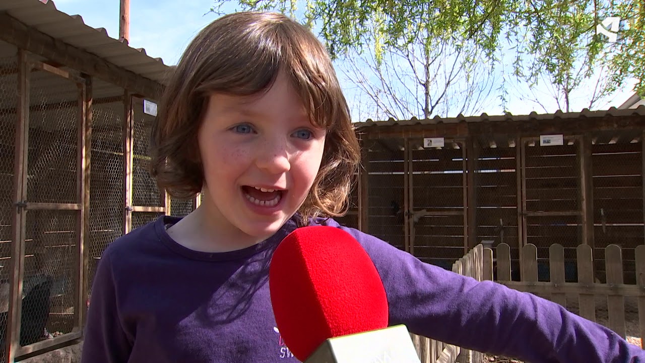 Cosas de Clase Aragón TV (PG10) CEIP San Miguel de Tamarite de Litera