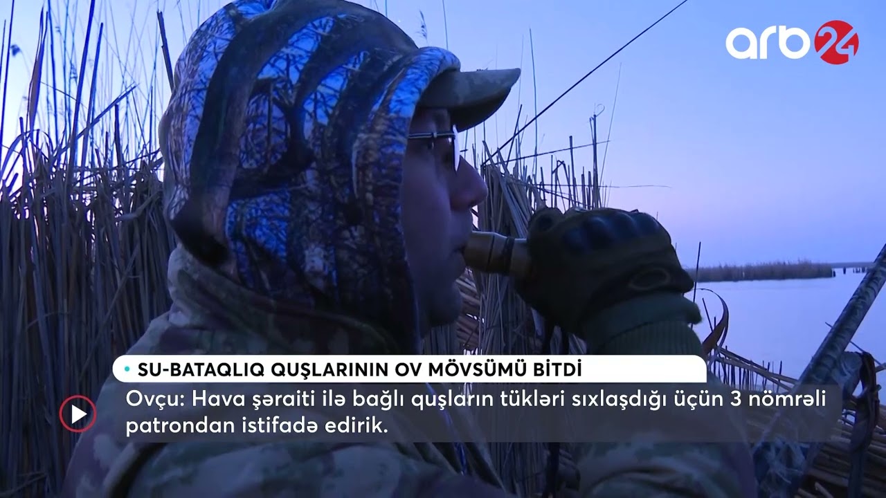 Su-bataqlıq quşlarının ov mövsümü yekunlaşıb - Seçilən Mövzu