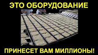 Оборудование для производства лапши быстрого приготовления. Бизнес идея. Бизнес с нуля. Идеи для