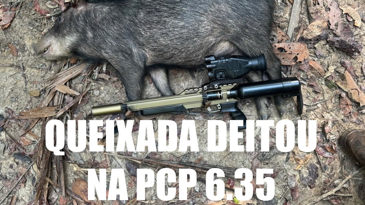 QUEIXADAS TÃO VICIADO NO BARREIRO E NO TRATADOR COM MILHO 🌽 (pcp cascavel 6.35 + henbacker cy789) 