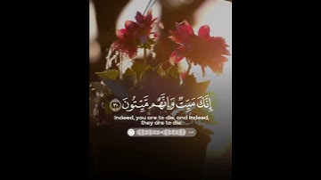 ﴿ إِنَّكَ مَيِّتٌ وَإِنَّهُم مَيِّتونَ ﴾ القارئ/ ماهر المعيقلي