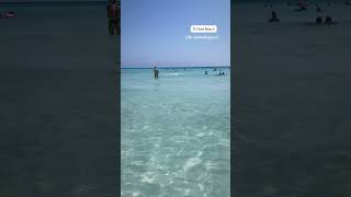 Nissi Beach Ayia Napa. Like a swimming pool. 🌊 #nissibeach #ayianapa