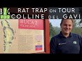 COLLINE DEL GAVI - RAT TRAP ON TOUR "Una sfida all'ultimo putt sul percorso Lago"