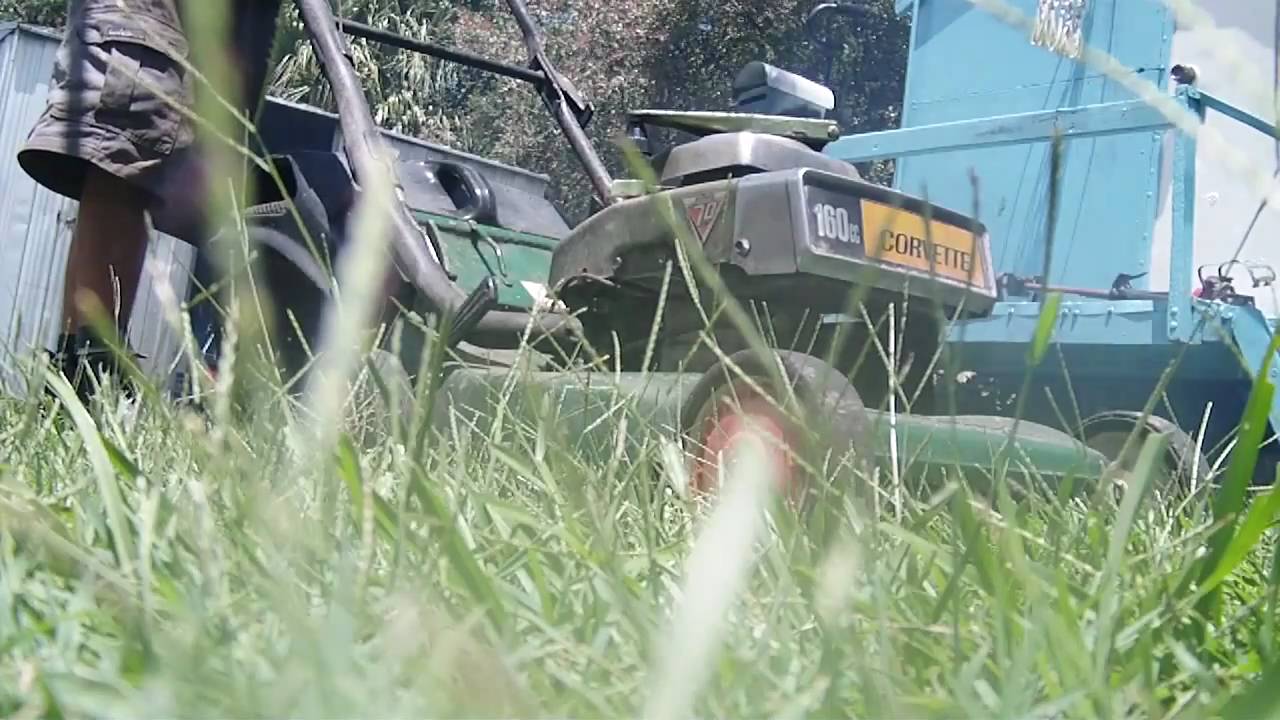 Victa Corvette cold start and mow