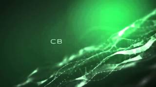 Playpretty CB intro