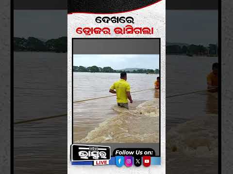 ଭାସିଲା ଏତେ ଲକ୍ଷ ଟଙ୍କାର  ଡ୍ରୋଜର #JCB #odishabhaskar #shortsvideo