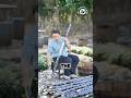 Turning Fresh Sugarcane Into Sweet Traditional Candy #sugarcane #harvest #villagecooking #rurallife