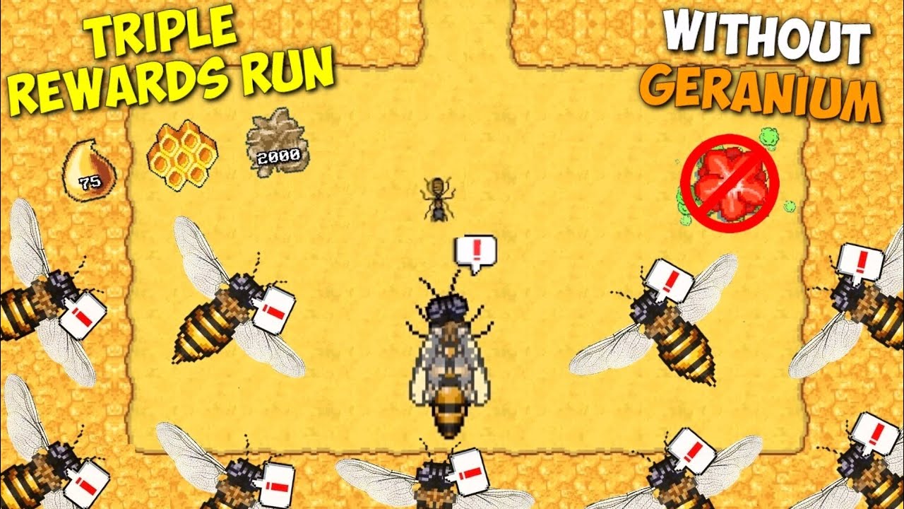 BEEHIVE TRIPLE RUN [WITHOUT GERANIUM] POCKET ANTS CHALLENGE YouTube