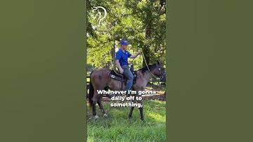 Quick Tips On Dragging A Barrel While Riding! Part 4! | The Horse Guru - Michael Gascon