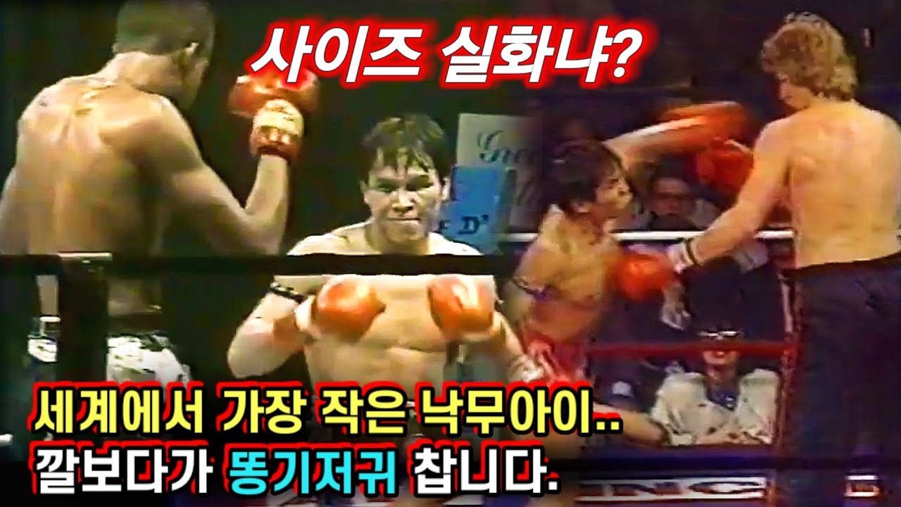 The World'S Smallest Muay Thai Fighter Somsong Broke Down Tall Fighters -  Youtube