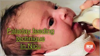 How to #Feed #Nicu #Preterm #Babies - Paladay feeding