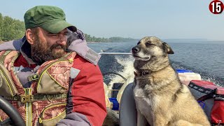 видео: Горит тайга, воды мало. Идем на ощупь, чуть не падая в обморок. ЧТО ДЕЛАТЬ? В эпицентре пожара. 15с. картинка: Горит тайга, воды мало. Идем на ощупь, чуть не падая в обморок. ЧТО ДЕЛАТЬ? В эпицентре пожара. 15с.