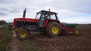 Siew 2017 | URSUS 1212/1222 Massey Ferguson 255