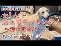 【ウッドデッキ#5】女1人で庭作りチャレンジ/ド素人DIY