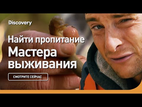 Видео: Найти пропитание | Мастера выживания | Discovery
