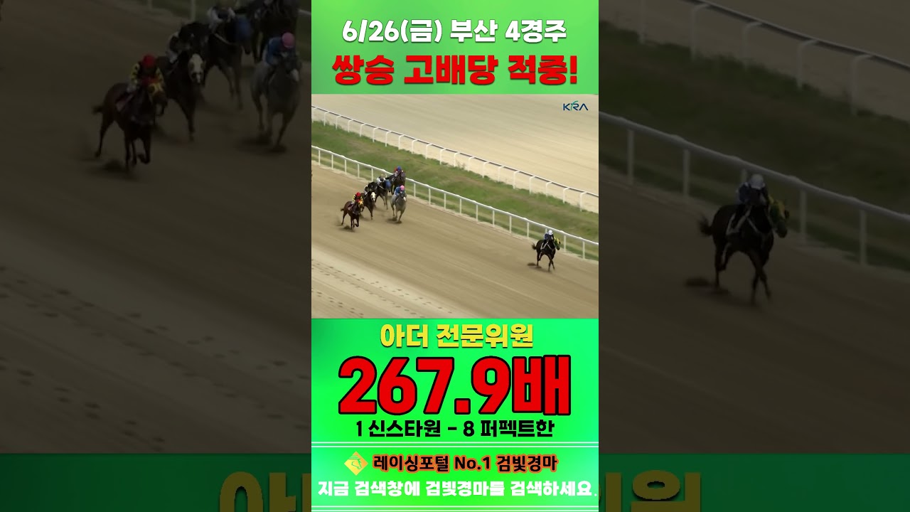 [부산 경마] 6월 26일 금요 4경주 아더 전문위원 쌍승 고배당 적중 #경마 #automobile #한국마사회 #horse #하이라이트 #horseracing#게임 #korean