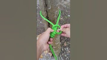 Incredible slip knot! I believe it is simple fast and reliable