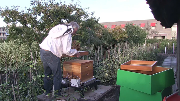 Nieuwsreportage Historische Tuin door Kenneth Hoek...