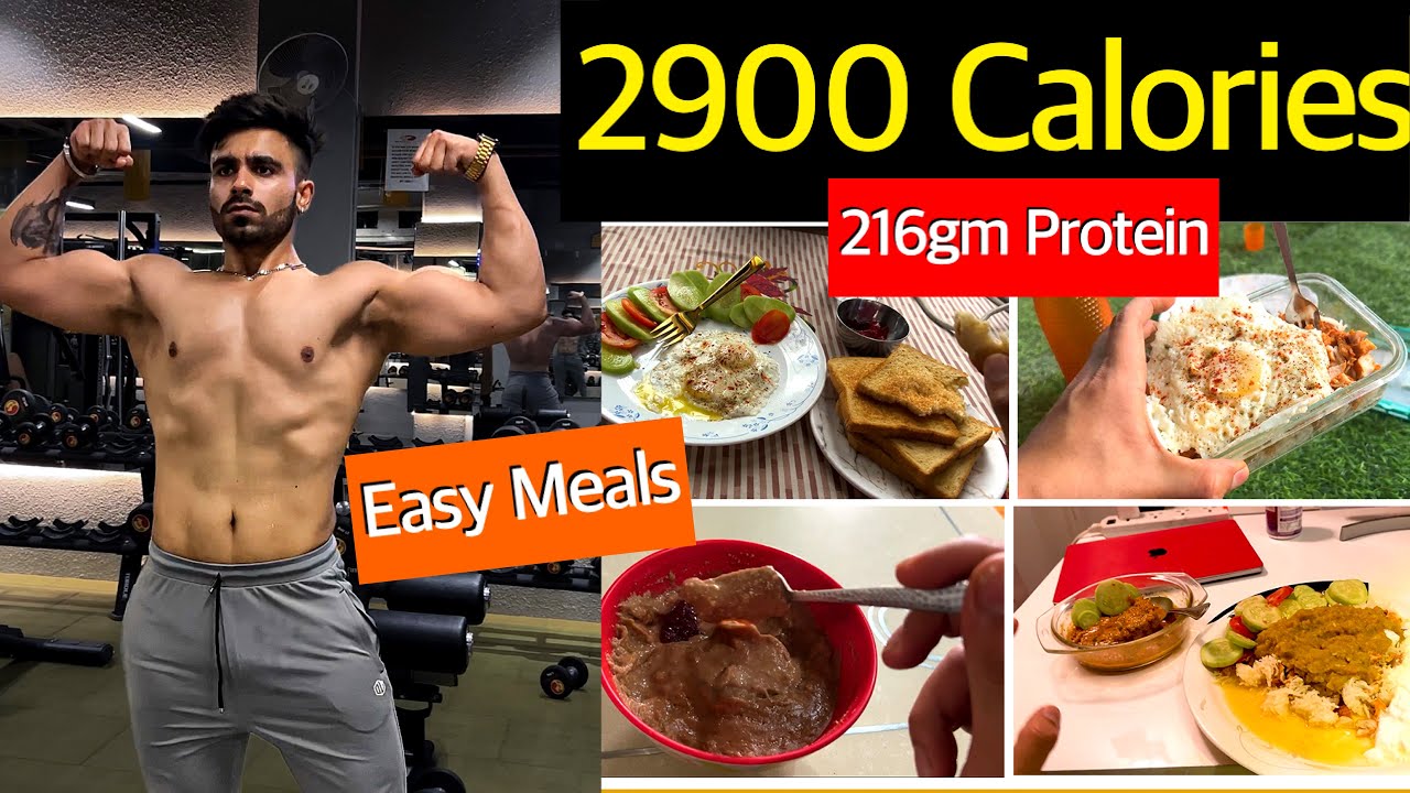 Full Day of Eating 2900 Calories 216gm Protein for LEAN