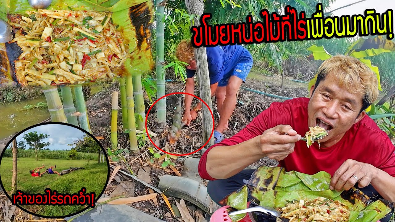 ขุดหน่อไม้สดๆจากไร่ มาทำหมกหน่อไม้ย่างใบตองหอมๆ!! เก็บจนรถคว่ำ
