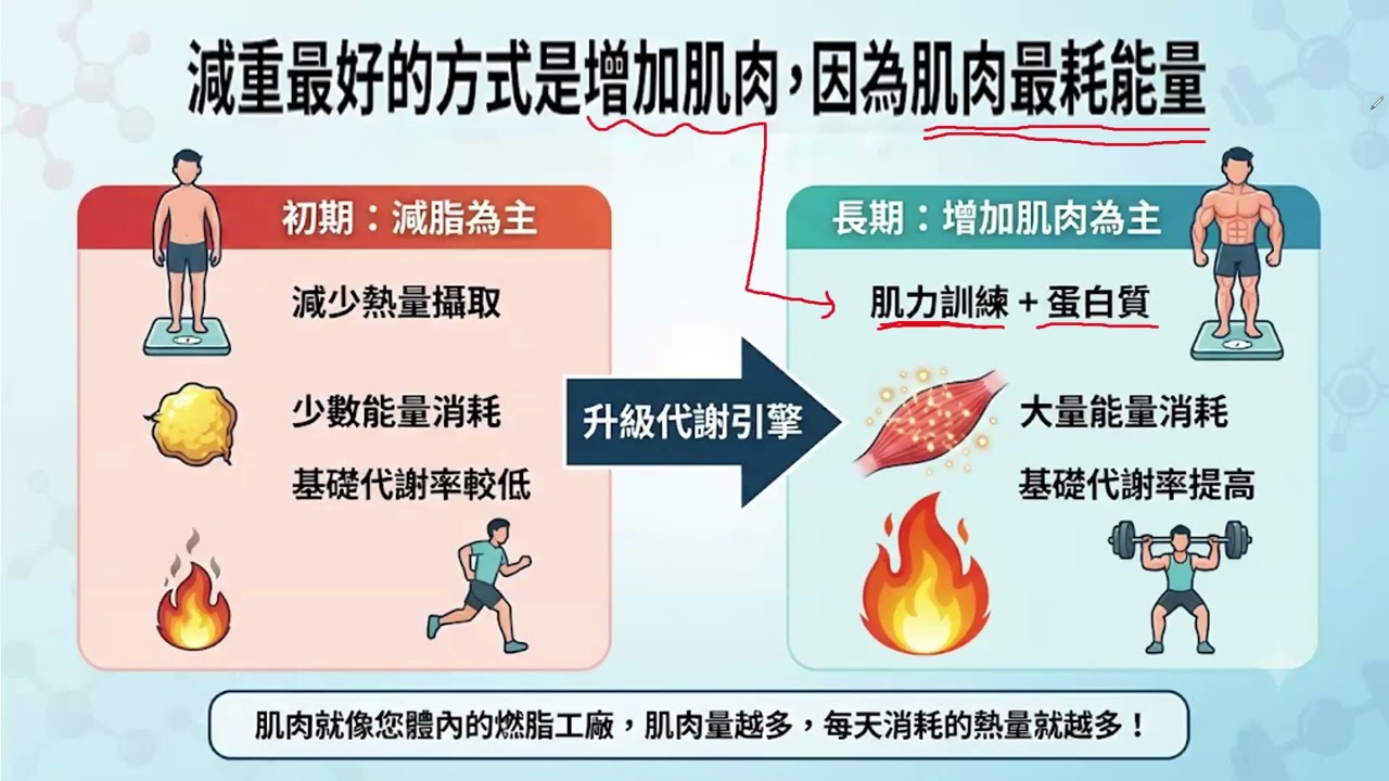 從健康報告訂製個人健康計劃 縮圖