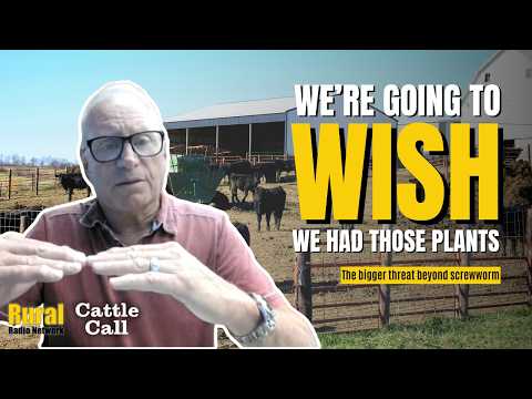 'We're going to wish we had those plants': Analyst sounds alarm on beef industry capacity