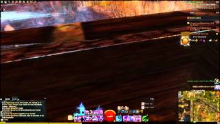 Glitch in Queen's Jubilee - Guild Wars 2