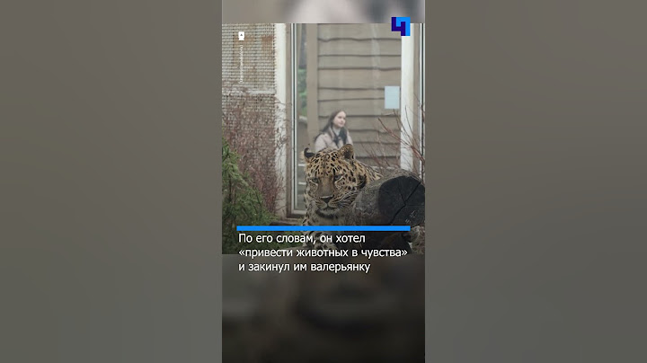 Задержан мужчина, который пытался отравить рысей и леопарда в Московском зоопарке