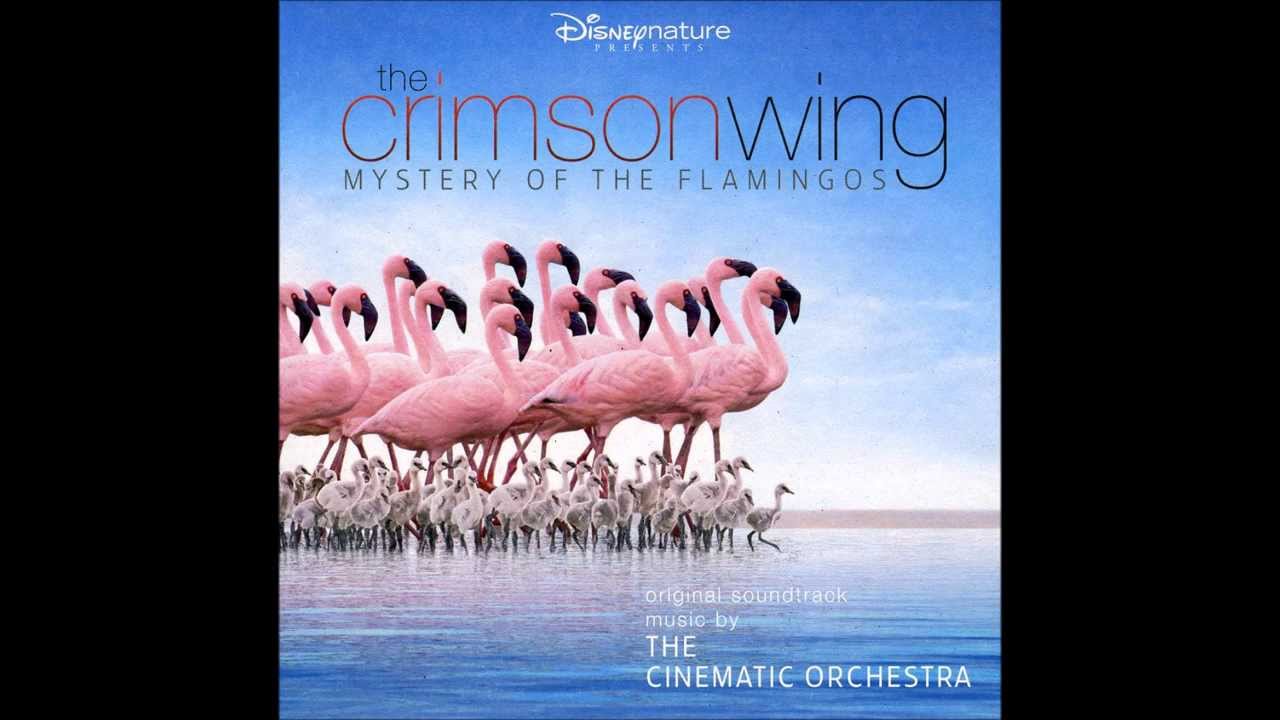 The Cinematic Orchestra Transformation YouTube