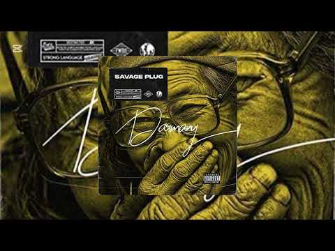 Savage Plug DARMANY Speed Up 